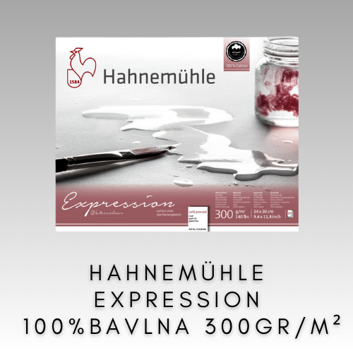 HAHNEMÜHLE EXPRESSION 100 % BAVLNA 300 GR/M2