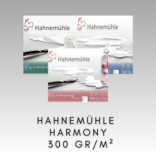 HAHNEMÜHLE HARMONY 300 GR/M2 LISOVANÝ ZA TEPLA, STUDENA A DRSNÝ