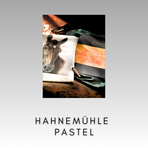 HAHNEMÜHLE PAPIERE PRE PASTEL