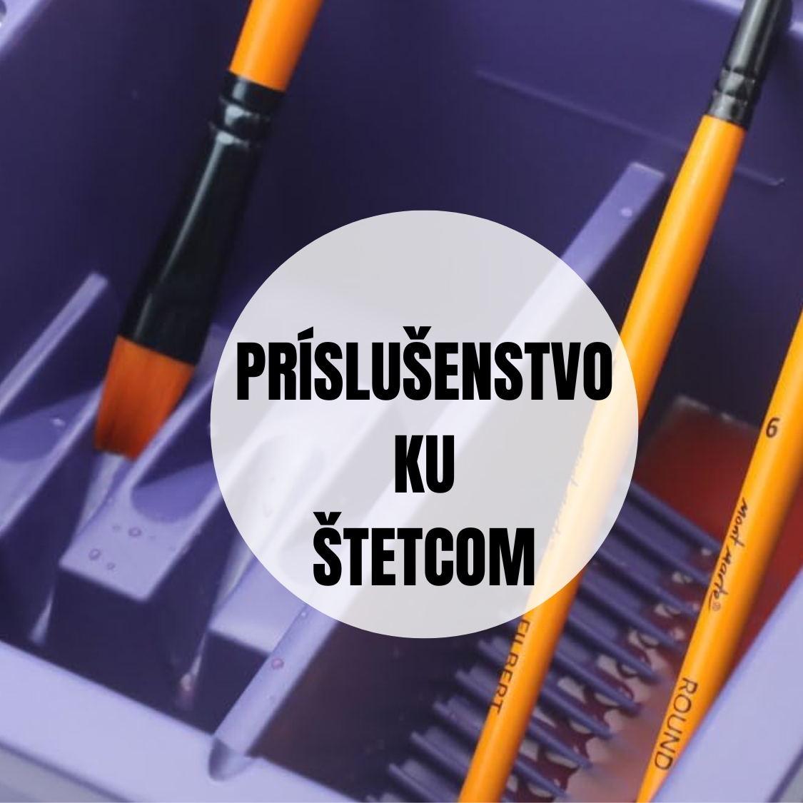 PRÍSLUŠENSTVO KU ŠTETCOM