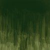 Winsor & Newton Winton olejová farba 37 ml | Dark Verdigris