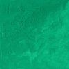 Winsor & Newton Winton olejová farba 37 ml | Emerald Green