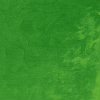 Winsor & Newton Winton olejová farba 37 ml | Permanent Green Light