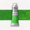 Winsor & Newton Winton olejová farba 37 ml | Permanent Green Light
