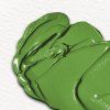 Winsor & Newton Winton olejová farba 37 ml | Permanent Green Light