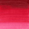 Winsor & Newton Winton olejová farba 37 ml | Permanent Rose