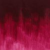 Winsor & Newton Winton olejová farba 37 ml | Quinacridone Deep Pink