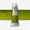OLEJOVÁ FARBA - WINSOR & NEWTON - WINTON - 37 ML | SAP GREEN