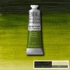 OLEJOVÁ FARBA - WINSOR & NEWTON WINTON -37 ML - SAP GREEN