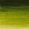 OLEJOVÁ FARBA - WINSOR & NEWTON - WINTON - 200 ML | SAP GREEN