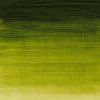 Winsor & Newton Winton olejová farba 200 ml | Sap Green