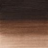 Winsor & Newton Winton olejová farba 200 ml | Vandyke Brown