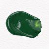 Liquitex Basics akrylová farba 250 ml | 224 Hooker’s Green Hue Permanent