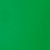 Liquitex Basics akrylová farba 250 ml | 312 Light Green Permanent