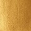 Liquitex Basics akrylová farba 250 ml | 051 Gold