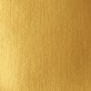 AKRYLOVÁ FARBA - LIQUITEX - BASICS ACRYLIC FLUID - 118 ML | 051 GOLD