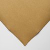 HAHNEMÜHLE THE COLLECTION - INGRES PASTEL PAPIER - 100 GR/M2 - 62,5 X 48 CM - BROWN