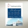 BLOK NA OLEJOVÉ A AKRYLOVÉ FARBY - HAHNEMÜHLE - 230 GR/M2 - 10 LISTOV - 24x32 CM