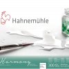 HAHNEMÜHLE HARMONY - AKVARELOVÝ BLOK 300 GR/M2 - LISOVANÝ ZA TEPLA - 12 LISTOV - RÔZNE ROZMERY