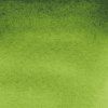 Van Gogh akvarelová farba - 10 ml | 623 Sap Green