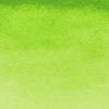 Van Gogh akvarelová farba - 10 ml | 633 Permanent Yellow Green