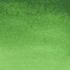Van Gogh akvarelová farba - 10 ml | 644 Hooker Green Light