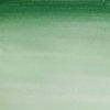 WINSOR & NEWTON COTMAN - AKVARELOVÁ FARBA - 8 ML - HOOKER'S GREEN DARK
