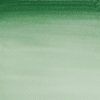 Winsor & Newton Cotman akvarelová farba 8 ml | Hooker's Green Dark