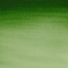 Winsor & Newton Cotman akvarelová farba 8 ml | Hooker's Green Light