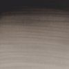 Winsor & Newton Cotman akvarelová farba 8 ml | Ivory Black