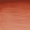 Winsor & Newton Cotman akvarelová farba 8 ml | Light Red