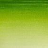 Akvarelová Farba Winsor & Newton Cotman - 8 ml | Sap Green
