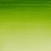 AKVARELOVÁ FARBA - WINSOR & NEWTON - COTMAN - 8 ML | SAP GREEN