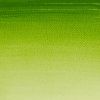 Winsor & Newton Cotman akvarelová farba 8 ml | Sap Green