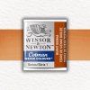 Winsor & Newton Cotman akvarelová farba - polpanvička | Burnt Sienna