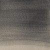 Winsor & Newton Cotman akvarelová farba - polpanvička | Iridescent Black