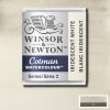 WINSOR & NEWTON COTMAN - AKVARELOVÁ FARBA - POLPANVIČKA - IRIDESCENT WHITE