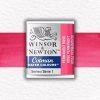 Winsor & Newton Cotman akvarelová farba - polpanvička | Permanent Rose