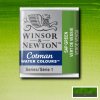 WINSOR & NEWTON COTMAN - AKVARELOVÁ FARBA - POLPANVIČKA - SAP GREEN