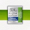 AKVARELOVÁ FARBA - WINSOR & NEWTON - COTMAN - POLPANVIČKA | SAP GREEN