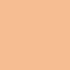 Sennelier Raphaël Campus akrylová farba 120 ml | 250 Flesh