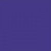 Sennelier Raphaël Campus akrylová farba 120 ml | 917 Purple