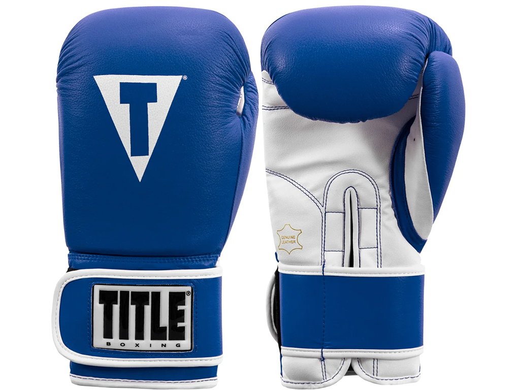Title boxing hotsell gloves 16 oz