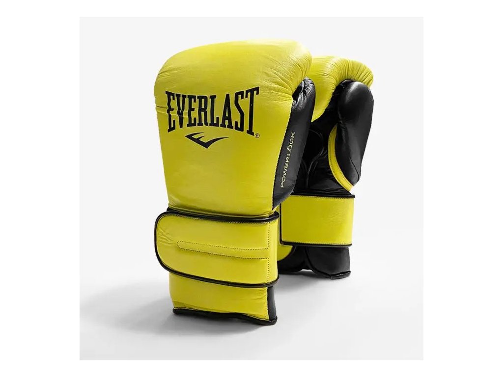 Everlast Powerlock 2 Pro leather boxing gloves - mmashop.eu