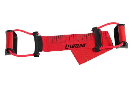 TITLE Boxing Power Push-Up Plus