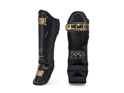 cze pm Chranice holeni a nartu DNA znacky Leone1947 3621 9