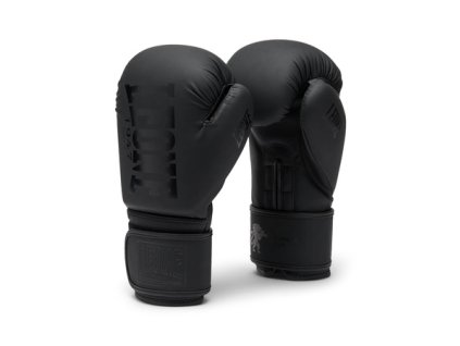 cze pm Boxerske rukavice Leone Tone X cerne 6820 1