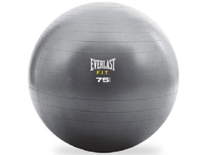 750 everlast gymnasticky mic fit 75 cm