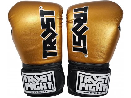 Trust Fight boxerské rukavice Squire - zlato/stříbrno/černé