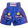 Twins International Boxing Shorts - blue